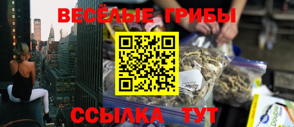 Псилоцибиновые грибы Psilocybe  Городец 