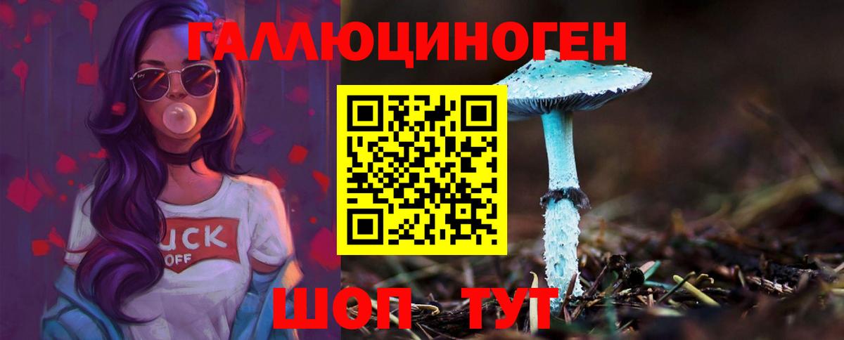 дарнет шоп  Вход с VPN  Галлюциногенные грибы прущие грибы  Городец  Галлюциногенные грибы Psilocybe 